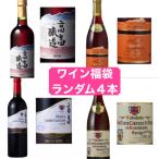 ふるさと納税 高畠町 何が届くかは運次第 高畠ワイナリーの赤ワインのみ ワイン 福袋 甘口 辛口 発泡酒