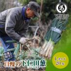 fu.... налог внизу . рисовое поле блок вызывающий чувство гордости внизу . рисовое поле .(L размер 20шт.@)[ отдаленный остров рассылка не возможно ]