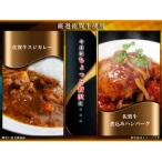 佐賀牛スジカレーと佐賀牛合挽煮込みハンバーグ各2個セット
