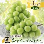 ショッピングふるさと納税 シャインマスカット ふるさと納税 山梨市 【2026年先行受付】山梨市産シャインマスカット(匠)1Kg以上　2〜3房