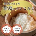 産コシヒカリ 白米 精米 10kg×2袋