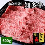 ふるさと納税 南知多町 高級国産ブランド牛肉「知多牛」600g赤身霜降り(しゃぶしゃぶ、すき焼き、焼肉)CAS冷凍・訳あり