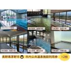 市内公共温泉施設利用券12枚 温泉 信州