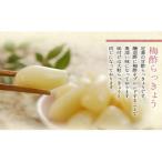 無添加 色白美人らっきょう 食べきりサイズ 480g