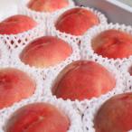 ふるさと納税 広川町 桃(もも)　12玉〜16玉　秀品