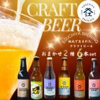 霞ヶ浦エリアの醸造所 江口屋醸造所のクラフトビール2種6本…