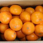 ショッピングせとか ふるさと納税 広川町 【2026年2月より順次発送】せとか　約5kg　秀品　