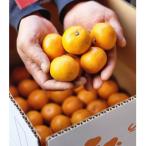 ふるさと納税 長崎市 長崎県産　早生温州小みかんS〜3S　5kg