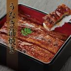 うなぎのかば焼き 約200g