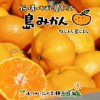 希望の島 温州みかん 新品種 ゆたか 3kg