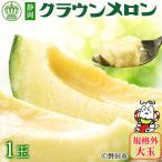 ふるさと納税 磐田市 【規格外BIGサイズ!】クラウンメロン規格外大玉 1玉
