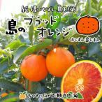 希望の島 ブラッドオレンジ タロッコ 3kg