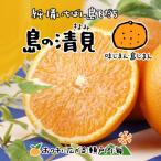 清見タンゴール 4kg