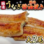 日本料理ひたち野いしざきのうなぎ関西醤油焼き