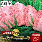 一貫生産農家 山勇畜産の飛騨牛 5等級 ロースのハーフステ…