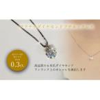 Pt ダイヤ0.3ct ペンダントネックレス