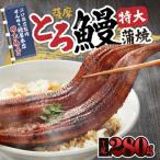 薩摩大とろ鰻 蒲焼 約280g