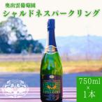 ワイン 飲み比べセット カベルネロゼ×シャルドネ
