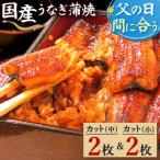 ふるさと納税 磐田市 浜名湖・うなぎのたなかのふっくら柔らか♪国産うなぎカット蒲焼(中)2枚(小)2枚※合計290g程度
