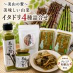 イタドリ4種詰合せセット