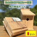 鳥の巣箱キット 夏休みの自由研究 宿題 工作に