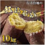 ふるさと納税 行方市 先行予約 茨城県産 紅はるか 訳あり 無選別 さつまいも 紅はるか 10kg サツマイモ CU-55