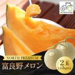 ふるさと納税 富良野市 【2026年発送先行受付】富良野メロン『NORTH PREMIUM』 2玉 (1玉2kg以上)