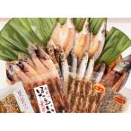 氷見 堀与 一夜干5種 みりん干3種 ほたるいかの素干×1袋