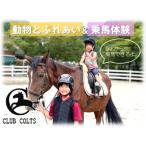 観光乗馬クラブコルツ 可愛い動物たちとふれあい&amp;乗馬…