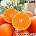 特撰 セミノールオレンジ 3kg