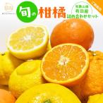 ご 旬の柑橘詰め合わせセット 5kg