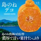 島のね不知火デコ 4kg