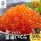 ふるさと納税 標津町 【令和6年新物】醤油いくら500g(250g×2) イクラ 北海道 人気 おすすめ さけ 魚卵 天然