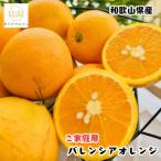 有田育ちのバレンシアオレンジ ご 3kg
