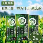 銘茶の里 四万十川源流茶〈上級煎茶〉100g入り×3個