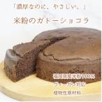 小麦不使用 ヴィーガン 米粉で作ったガトーショコラ
