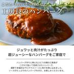 ぶどうの樹 工房長のハンバーグ 10個セット