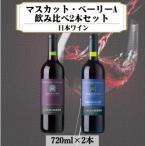 岩の原 ワイン マスカットベーリーA 2本