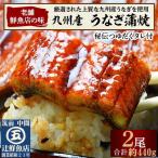 九州産うなぎ蒲焼 約220g×2尾