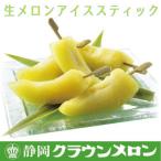 アイスメロンスティック 10本