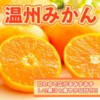 温州みかん 約7kg