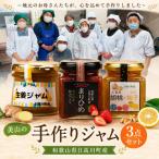 美山の手作りジャム3点セット ジャム