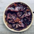 かわの農園の新鮮生きくらげ500g