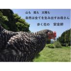 歩く花の自然卵 6個入り×2箱