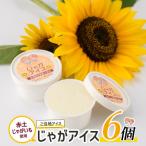 レガーレ ワキタのじゃがアイス 6個入