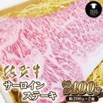佐賀牛サーロインステーキ400g 200g×2