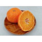 ショッピング甘平 ふるさと納税 松山市 松山市中島産 甘平 L〜3Lサイズ