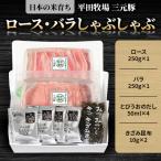 日本の米育ち平田牧場三元豚ロース250g