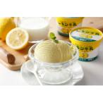 ふるさと納税 さくら市 【ふるさと納税】レモン牛乳カップづくしセット 10個