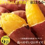 3ヶ月以上熟成紅はるか 感動さつまいも